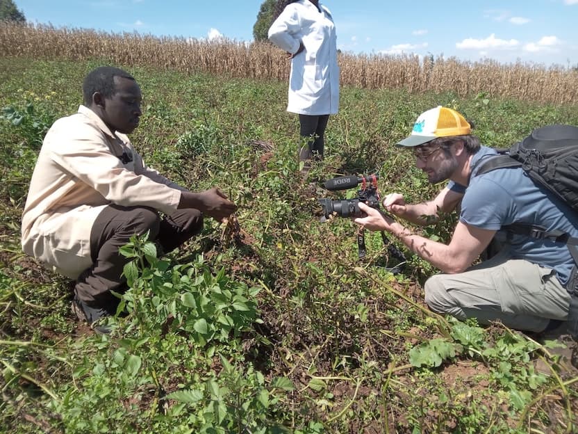 Climate-related production risks