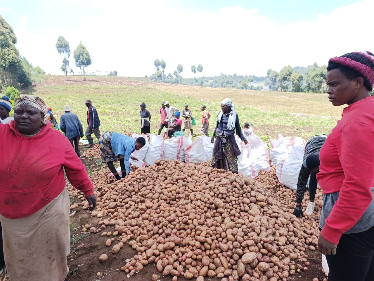 The problem facing farmers