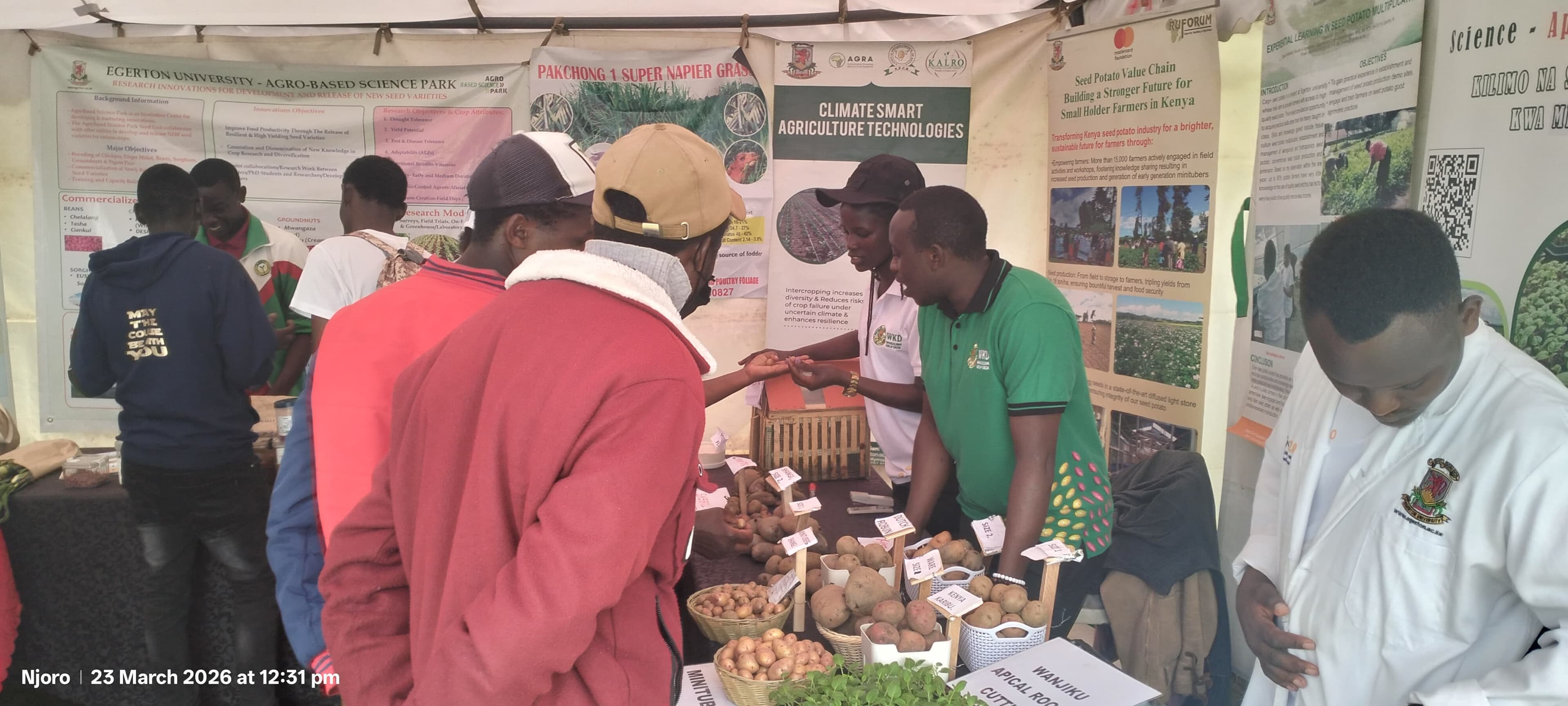 Youth engagement in agriculture