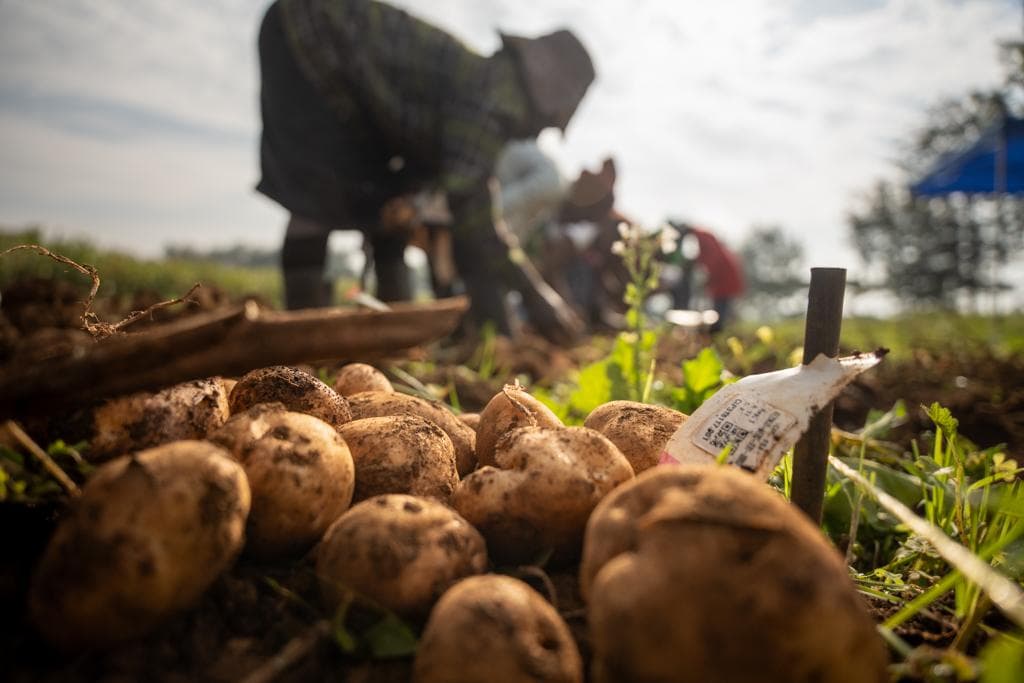 Farmer training
