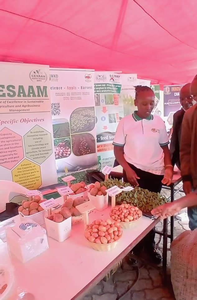 Agricultural expo