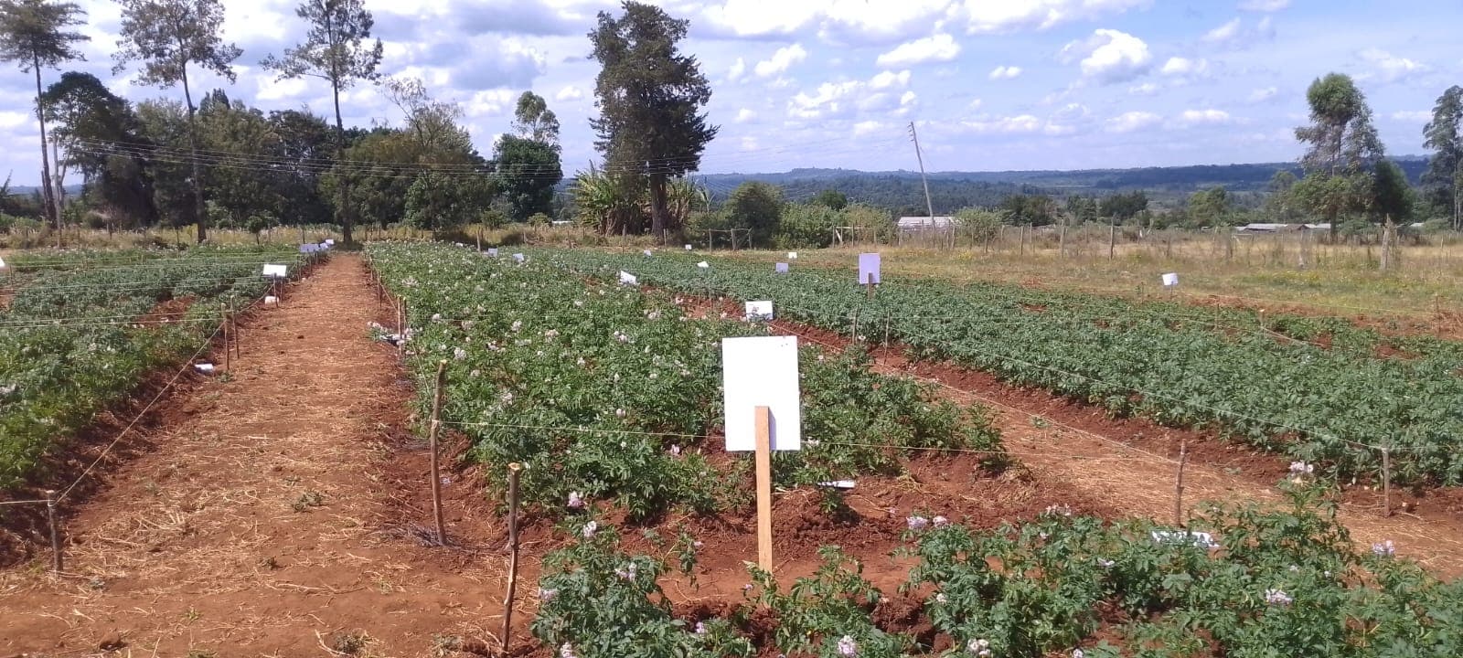 Technology Demonstration Sites