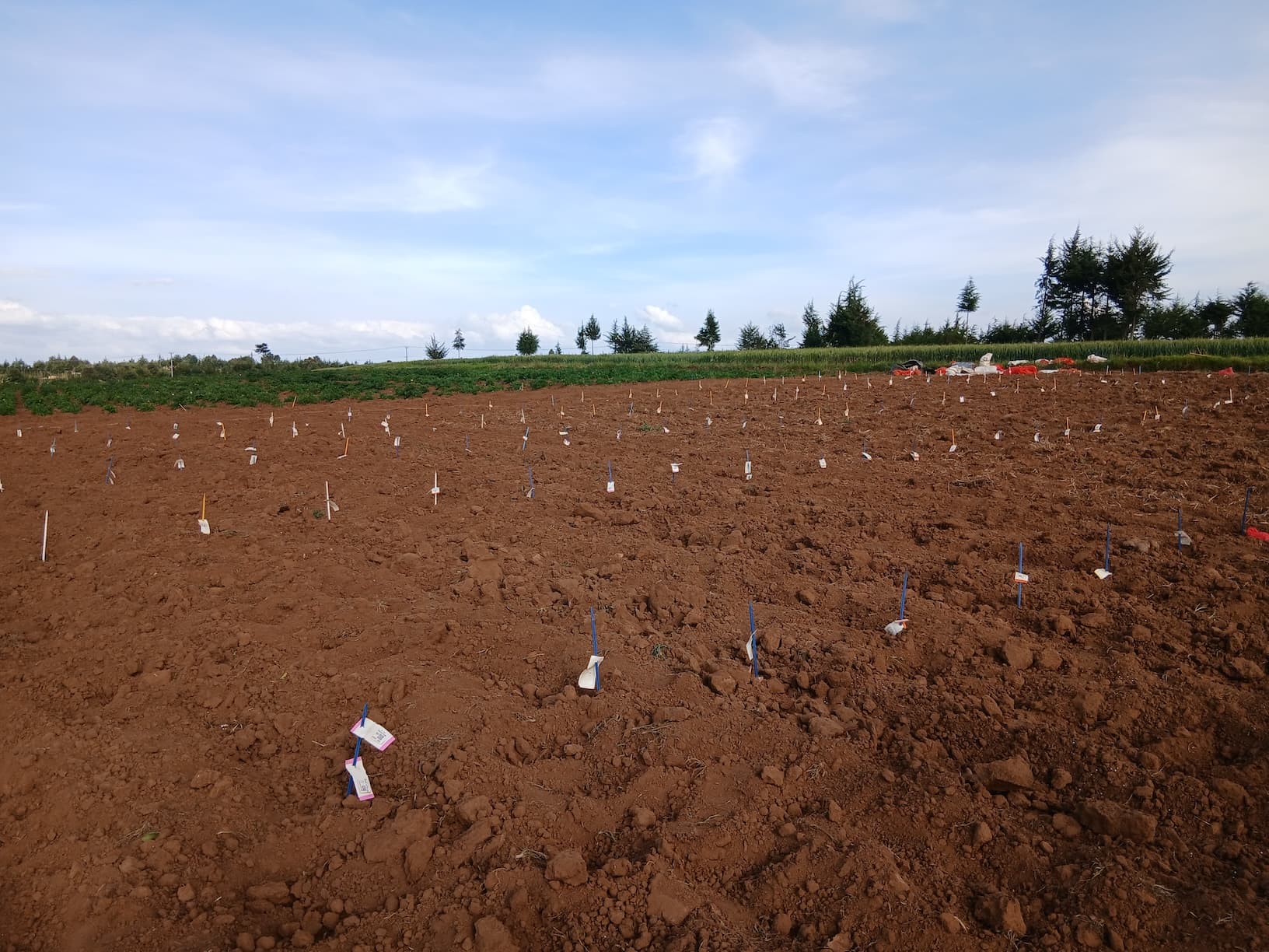 Seed Systems Research